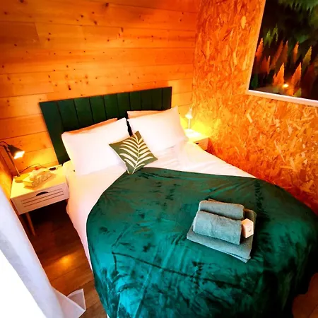 Le Petit Nid - Tiny House & Bain Nordique Chalé
